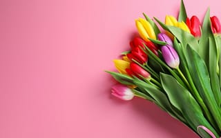 Картинка цветы, букет, bouquet, flowers, spring, tulips, тюльпаны, colorful