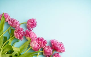 Картинка цветы, букет, beautiful, тюльпаны, pink, tulips, розовые, flowers