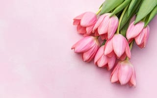 Картинка цветы, букет, bouquet, spring, pink, tulips, flowers, тюльпаны