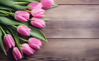 Картинка цветы, букет, beautiful, розовые, тюльпаны, tulips, pink, flowers