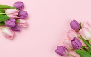 Картинка цветы, тюльпаны, tulips, flowers, розовый, spring, pink