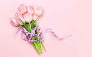 Картинка цветы, тюльпаны, spring, розовый, pink, tulips, flowers