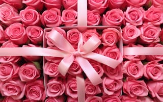 Картинка цветы, подарок, pink, розовые, present, розы, beautiful, flowers