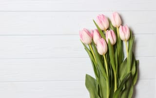 Картинка цветы, букет, тюльпаны, pink, розовые, beautiful, flowers, wood