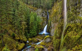 Картинка Орегон, USA, Колумбия, River Gorge, Columbia, США, Oregon, Wahclella Falls