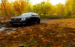 Картинка car, Mercedes-Benz, black cars, Mercedes Benz 350 D, Forza Horizon 4, video games, vehicle, 350 D