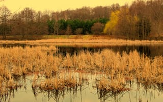 Картинка water, lake, pond