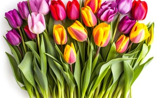 Картинка цветы, букет, tulips, flowers, colorful, тюльпаны, spring, bouquet