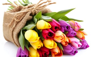 Картинка цветы, букет, flowers, tulips, spring, colorful, bouquet, тюльпаны