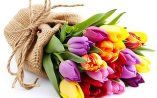 Картинка цветы, букет, tulips, spring, flowers, bouquet, тюльпаны, colorful