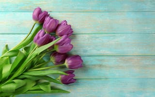 Картинка цветы, букет, тюльпаны, tulips, flowers, purple, spring, wood