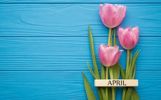 Картинка цветы, букет, pink, wood, spring, flowers, тюльпаны, tulips