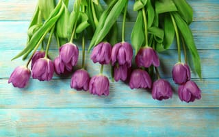 Картинка цветы, букет, тюльпаны, purple, tulips, flowers, spring, wood
