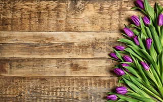 Картинка цветы, букет, spring, tulips, тюльпаны, flowers, purple, wood