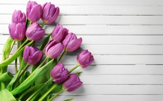 Картинка цветы, букет, spring, tulips, wood, flowers, тюльпаны, purple