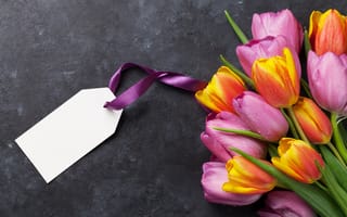 Картинка цветы, букет, тюльпаны, pink, открытка, colorful, tulips, flowers