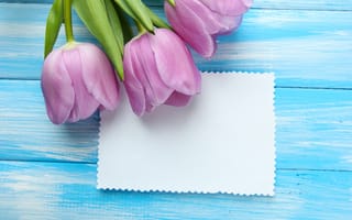 Картинка цветы, букет, spring, тюльпаны, tulips, wood, flowers, открытка