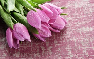 Картинка цветы, букет, wood, flowers, pink, tulips, spring, тюльпаны