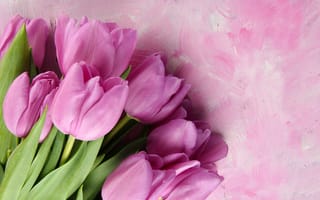 Картинка цветы, букет, flowers, wood, тюльпаны, tulips, pink, spring
