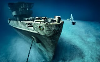 Картинка вода, аквалангист, дайвинг, Карибское море, water, морское дно, diving, дайвер