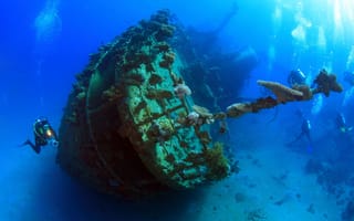 Картинка вода, кораллы, diving, аквалангист, water, дайвинг, дайвер, морское дно