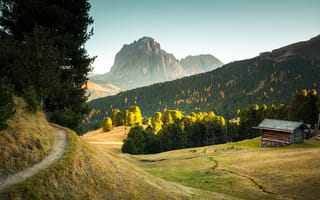 Картинка grass, nature, mountains, Italy, golden hour, Dolomites, trees