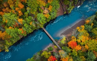 Картинка осень, лес, природа, мост, река