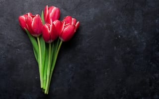 Картинка цветы, букет, red, красные, wood, тюльпаны, romantic, flowers