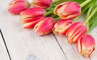 Картинка цветы, букет, красные, тюльпаны, red, wood, tulips, flowers