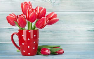 Картинка цветы, букет, cup, red, wood, flowers, тюльпаны, красные