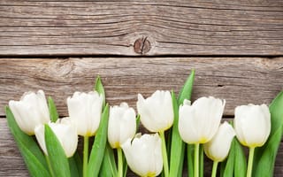 Картинка цветы, букет, tulips, wood, spring, flowers, white, тюльпаны