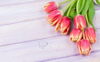 Картинка цветы, букет, wood, bouquet, tulips, тюльпаны, flowers, spring