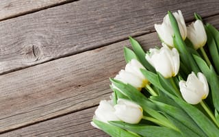 Картинка цветы, букет, spring, тюльпаны, tulips, white, flowers, wood