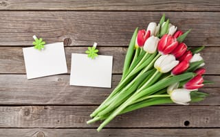 Картинка цветы, букет, тюльпаны, flowers, red, wood, tulips, white