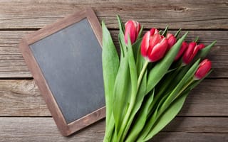 Картинка цветы, букет, тюльпаны, tulips, wood, red, flowers, spring