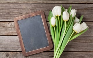 Картинка цветы, букет, открытка, tulips, flowers, white, wood, тюльпаны
