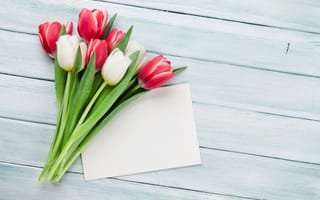 Картинка цветы, букет, wood, white, red, тюльпаны, tulips, flowers