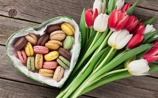 Картинка цветы, подарок, red, букет, white, love, тюльпаны, красные