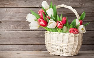 Картинка цветы, букет, red, tulips, wood, тюльпаны, white, flowers