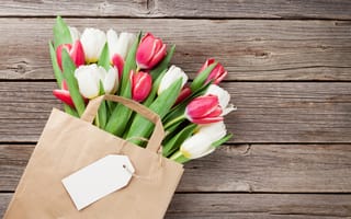 Картинка цветы, букет, red, wood, тюльпаны, white, flowers, tulips