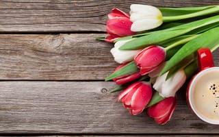 Картинка цветы, букет, wood, flowers, тюльпаны, tulips, white, red