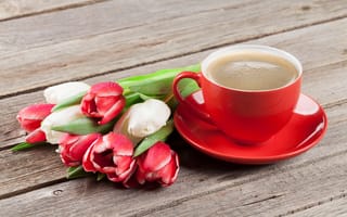 Картинка цветы, букет, тюльпаны, wood, tulips, red, flowers, white