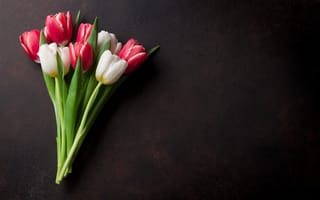 Картинка цветы, букет, spring, red, tulips, white, flowers, тюльпаны