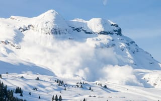 Картинка лес, небо, горы, луна, природа, пейзаж, снег, опасность