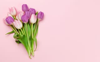 Картинка цветы, букет, розовый, tulips, flowers, тюльпаны, pink