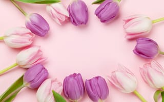 Картинка цветы, букет, tulips, pink, flowers, тюльпаны, розовый