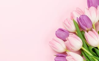 Картинка цветы, букет, розовый, тюльпаны, pink, tulips, flowers