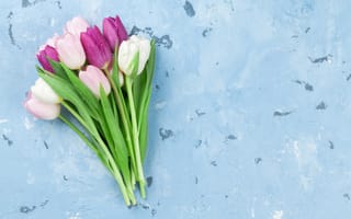 Картинка цветы, букет, тюльпаны, tulips, spring, pink, flowers