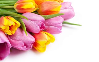 Картинка цветы, букет, тюльпаны, colorful, tulips, pink, spring, flowers
