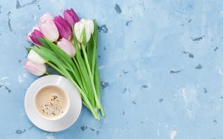 Картинка цветы, букет, тюльпаны, pink, coffee cup, tulips, flowers